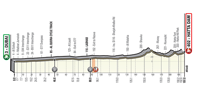 Stage 4 profile